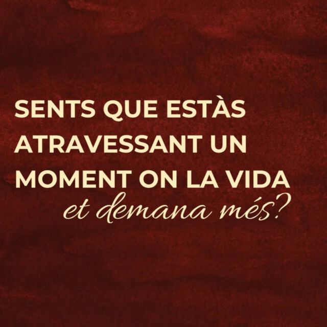 El dolor que tenim a dins queda refugiat darrera les maneres que, per supervivència, hem après a transitar les situacions. Però arriba un moment que això només fa que activar-nos bucles i que ens empeny a un automatisme sense sentit.

És en aquest punt on una pot TRIAR habitar-se des de l'adulta que és i començar a ser la co-creadora (juntament amb la vida) de la seva pròpia vida.

Només cal sentir que és el teu moment d'arrelar-te a la teva adulta, fer-te càrrec de les teves dificultats i voler viure el desplegament del teu poder ❤️

Si així ho sents, deixa'm la paraula ADULTA als comentaris i t'envio tota la informació d'aquest bonic taller que compartirem.

Gràcies,
Judith

#delapellalanima

P.d: si, sóc molt dislèxica i hi ha lletres canviades d'ordre en moltes paraules! 🙏😌